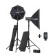 Pack Expert Studio D-Lite RX4 Box - Elinchrom - Prophot