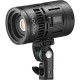 Godox