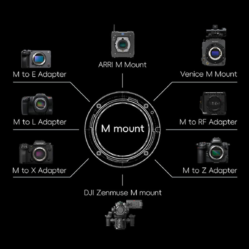 Thypoch Bague d'adaptation avec verrouillage positif Monture M vers E - Thypoch - Prophot