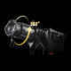Godox Spotlight BP-36K avec Optique 36° pour Monture S - Godox - Prophot