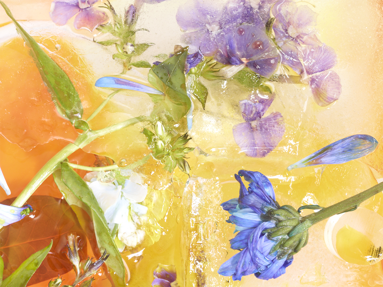 Flower Power bleu jaune et orange par Lucas Laurent