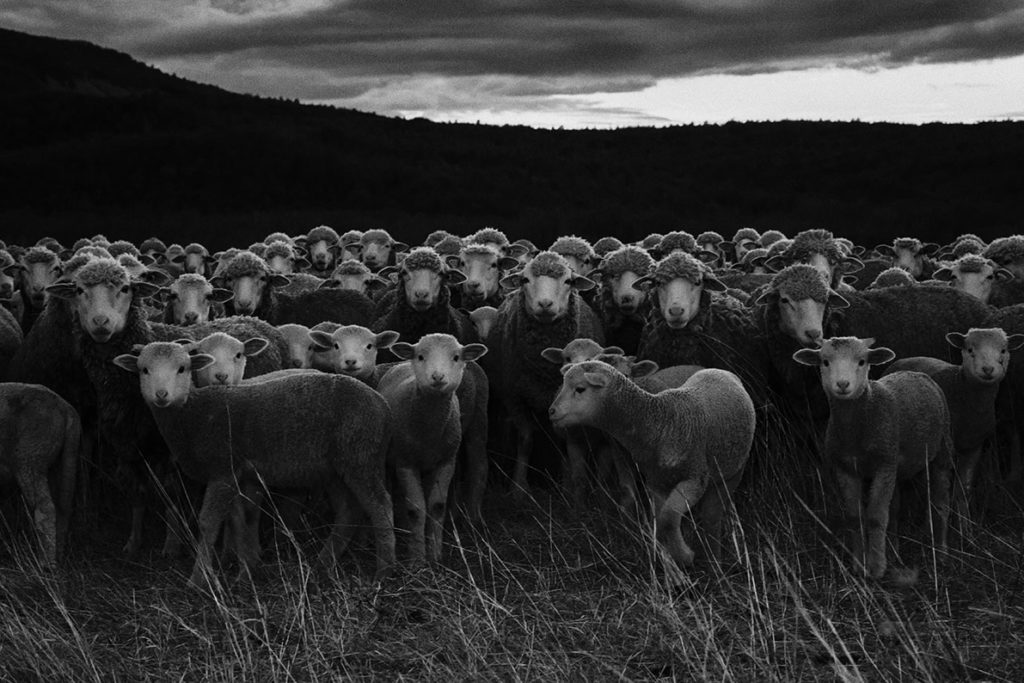 Maïté Baldi photographe, image de la série Genesis en Provence