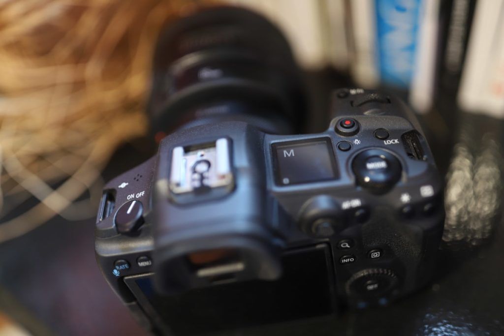 Portrait de mariage photographié avec le capteur de 45 mégapixels du Canon EOS R5
