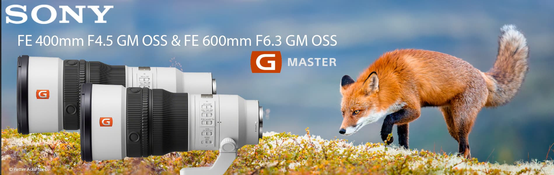 Nouveaux téléobjectifs Sony G Master